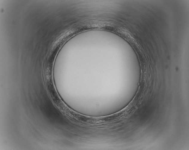 X0000062170683200512091051