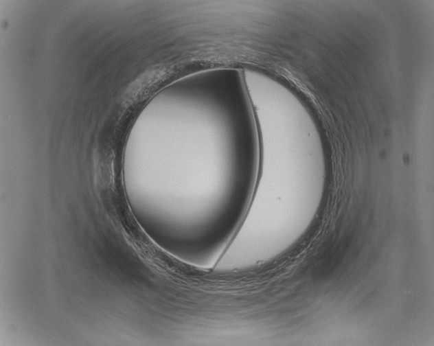 X0000062170685200512091051