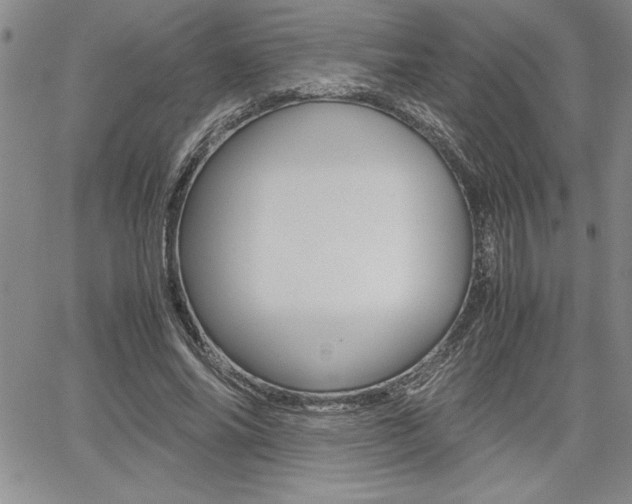 X0000062170686200512091051