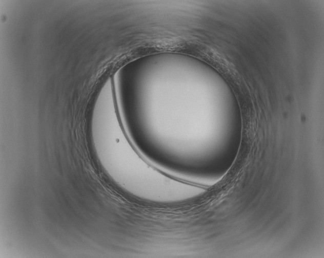 X0000062170689200512091051
