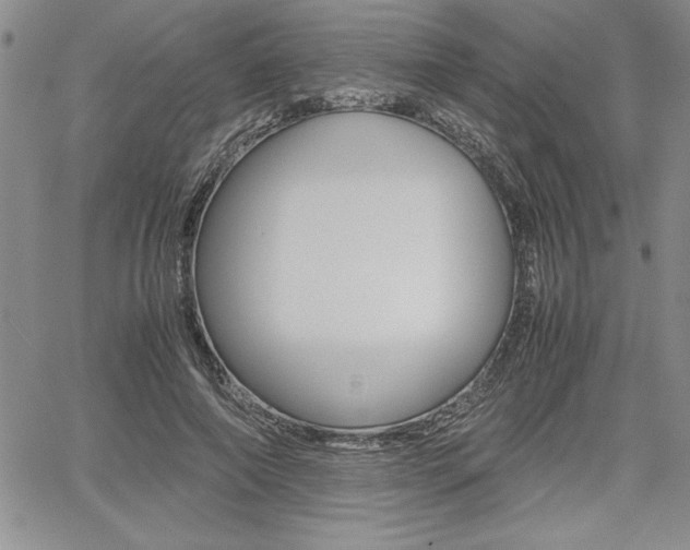 X0000062170690200512091051