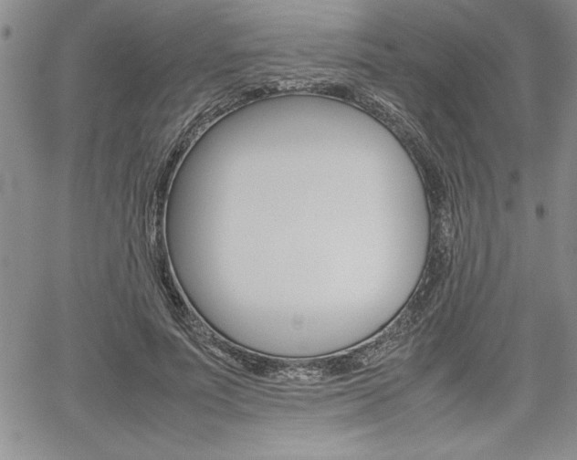 X0000062170691200512091051