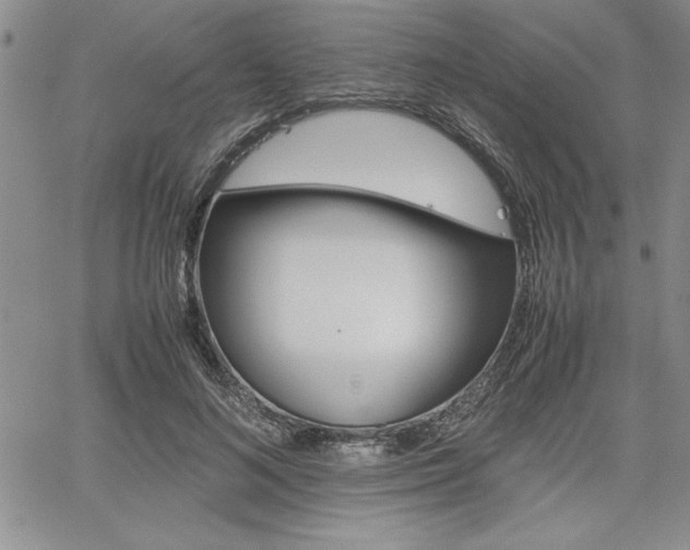 X0000062170692200512091051