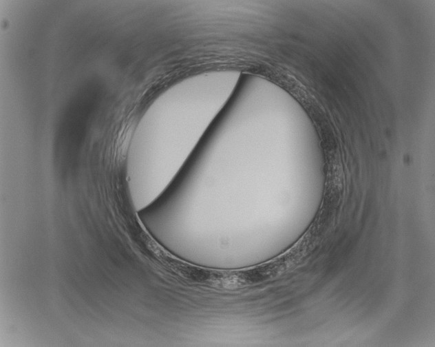 X0000062170695200512091051