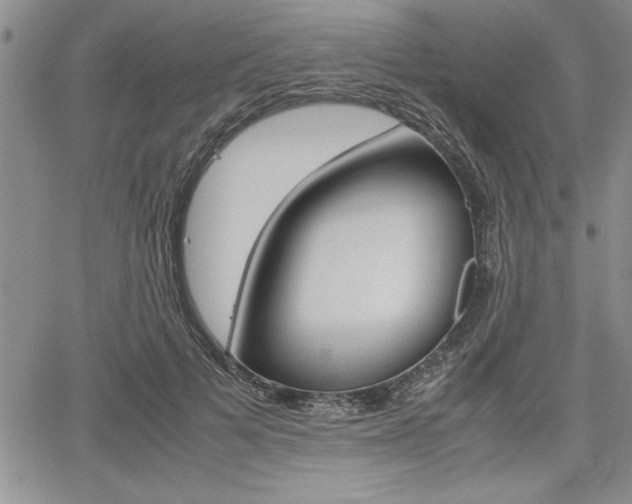 X0000062170697200512091051