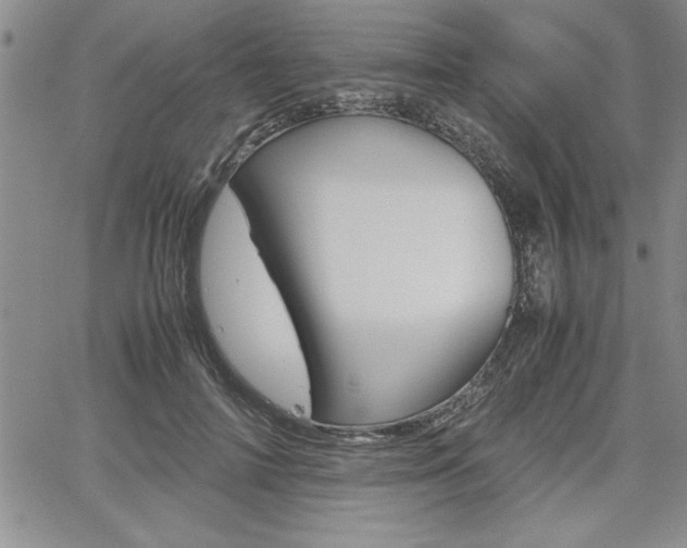 X0000062170698200512091051
