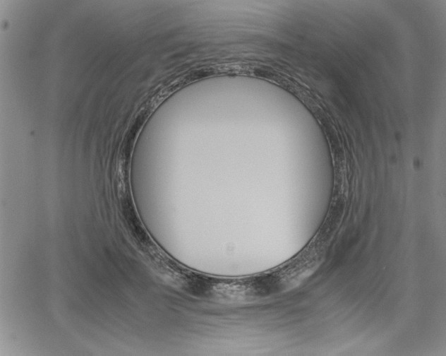 X0000062170699200512091051