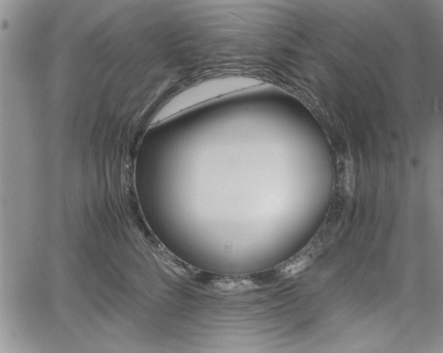 X0000062170712200512091051