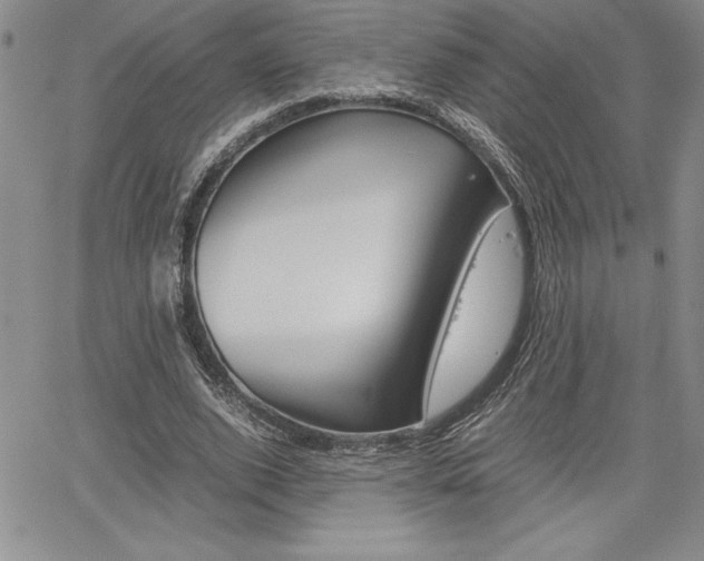 X0000062170728200512091050