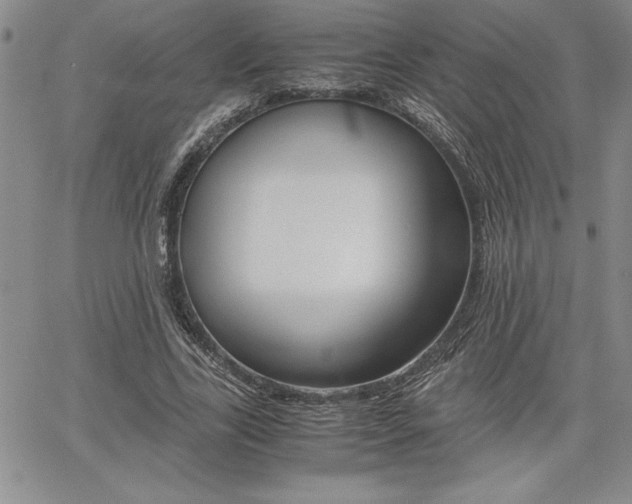 X0000062170731200512091050