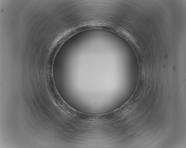 X0000062170732200512091050