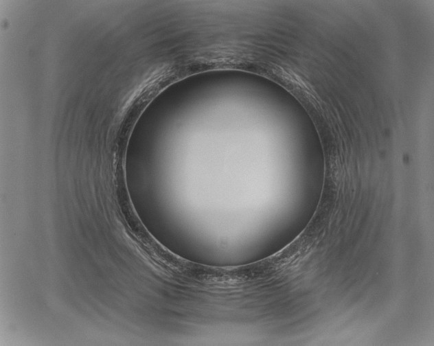 X0000062170735200512091050