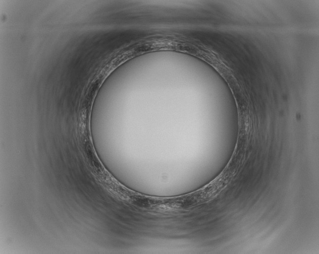 X0000062170737200512091050
