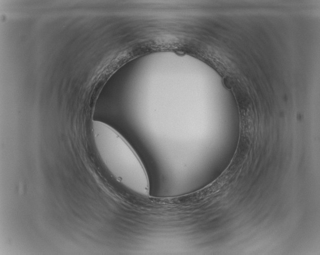 X0000062170742200512091050