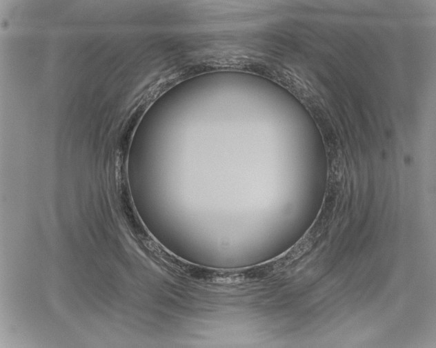 X0000062170744200512091050