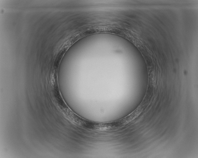 X0000062170746200512091050