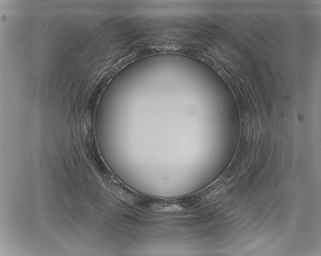 X0000062170747200512091050