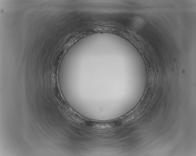 X0000062170749200512091051