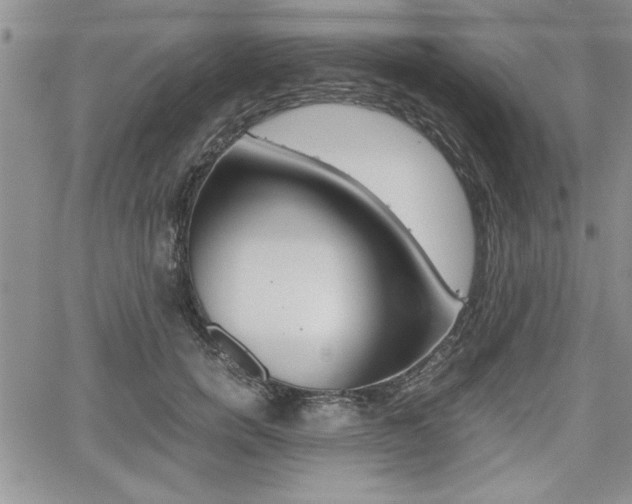 X0000062170750200512091051