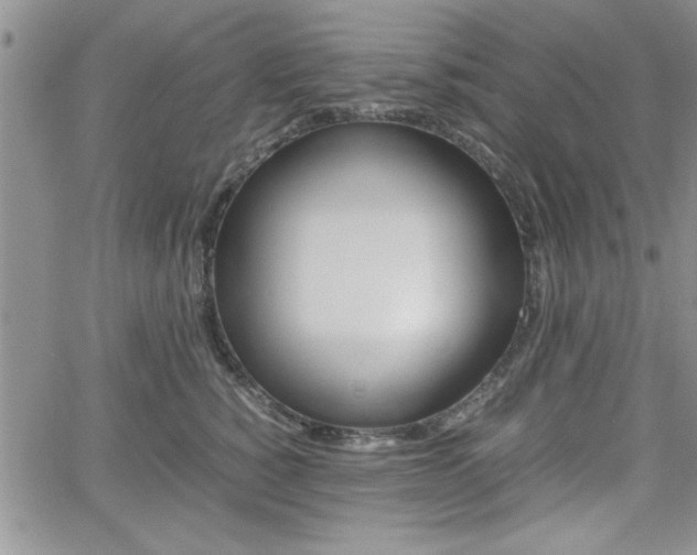 X0000062170760200512091051