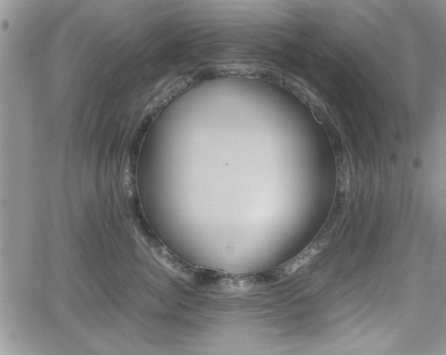 X0000062170764200512091051