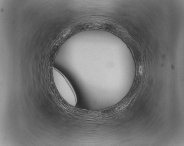 X0000062170771200512091050