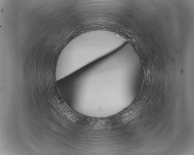 X0000062170772200512091050