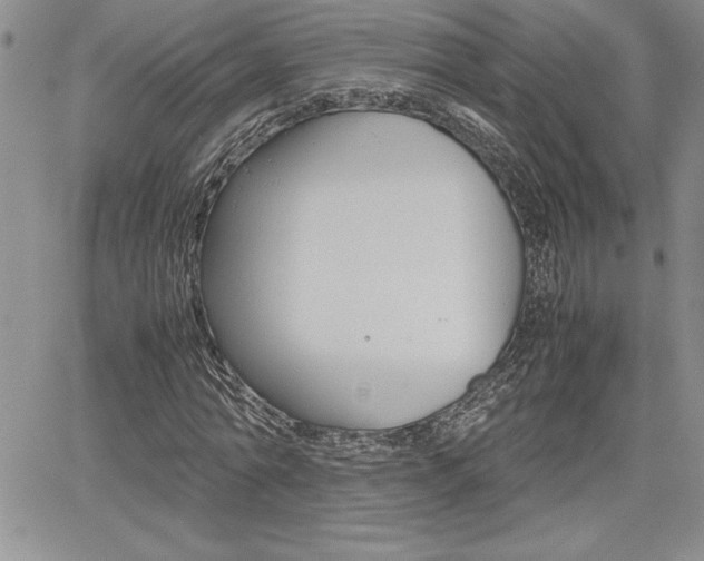X0000062170774200512091050