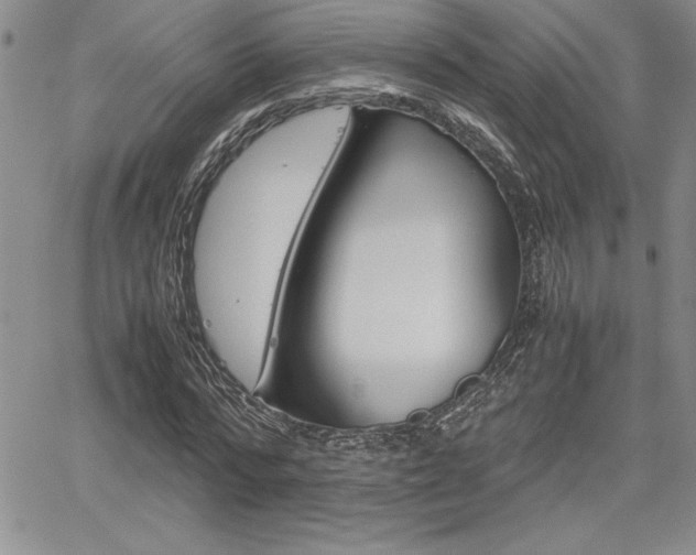 X0000062170776200512091050