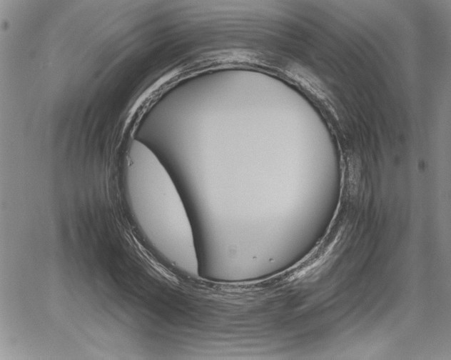 X0000062170782200512091050