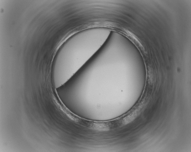 X0000062170794200512091050
