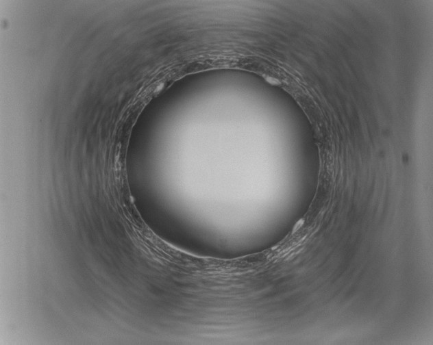 X0000062170818200512091049