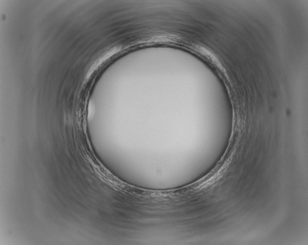 X0000062170827200512091049