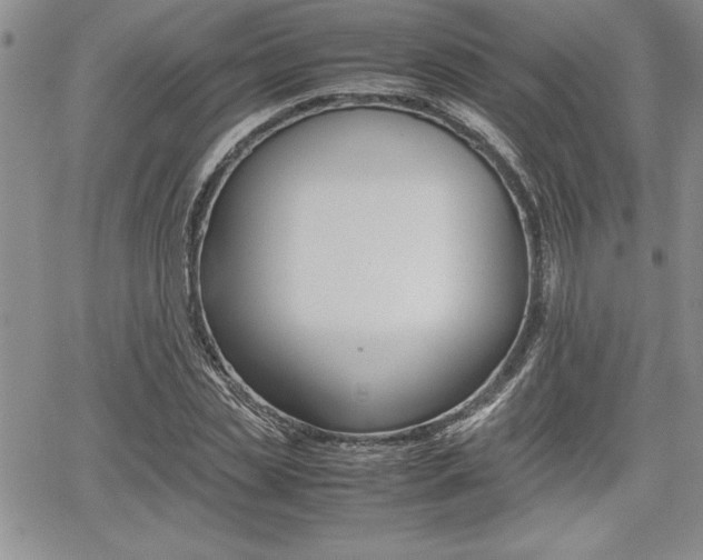 X0000062170829200512091049