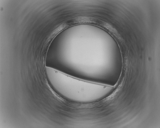 X0000062170841200512091049