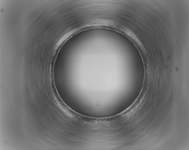 X0000062170842200512091049