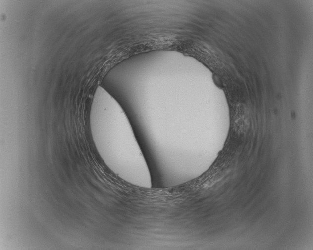X0000062170866200512091048