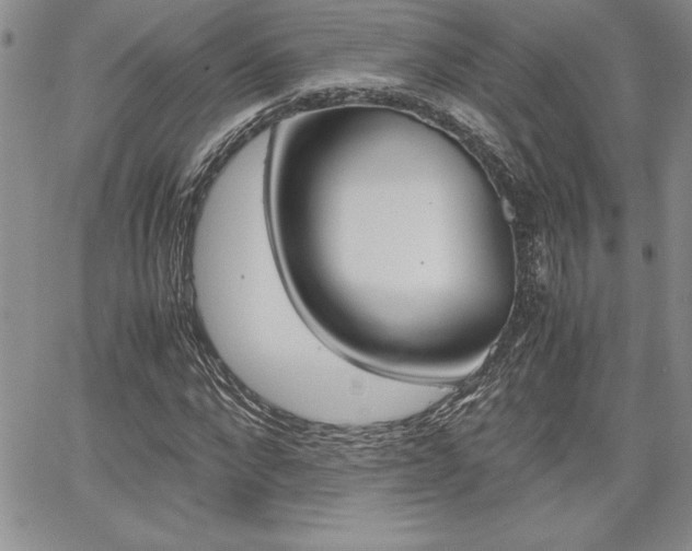 X0000062170872200512091048