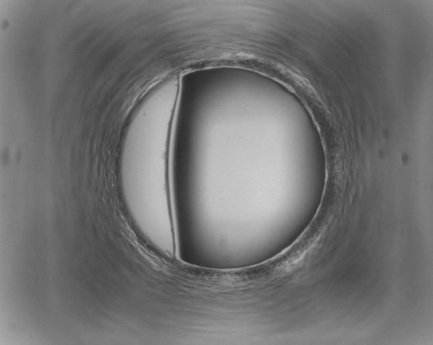 X0000062170881200512091048