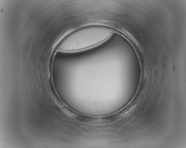 X0000062170885200512091048