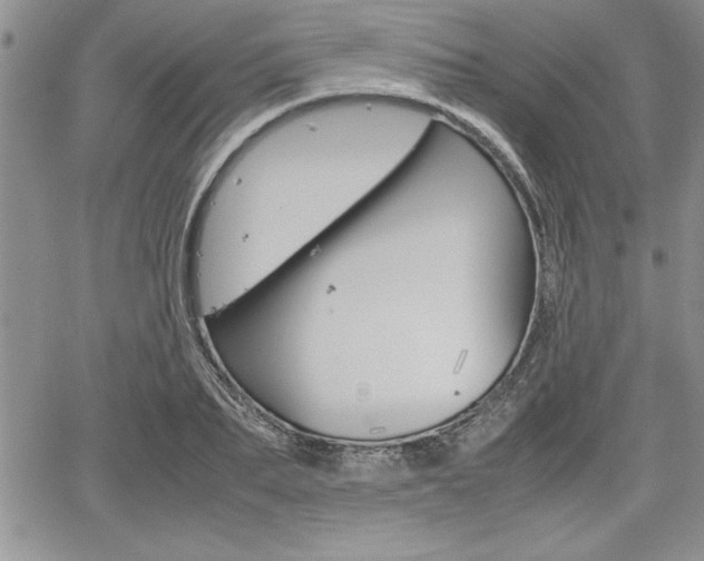 X0000062170887200512091048