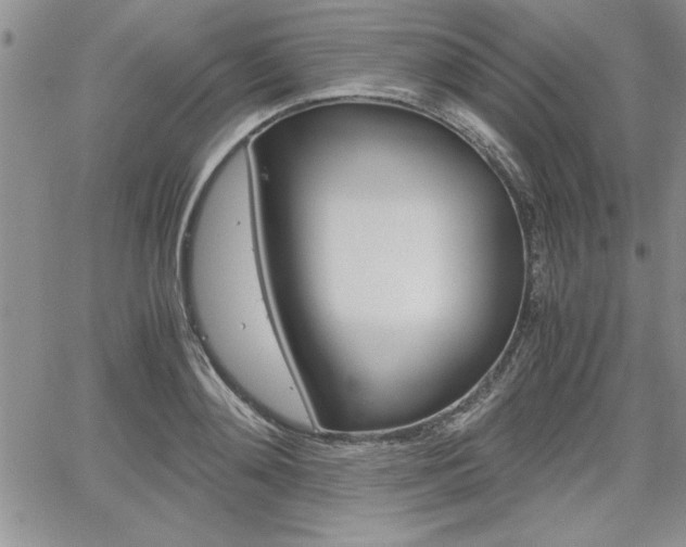 X0000062170892200512091048