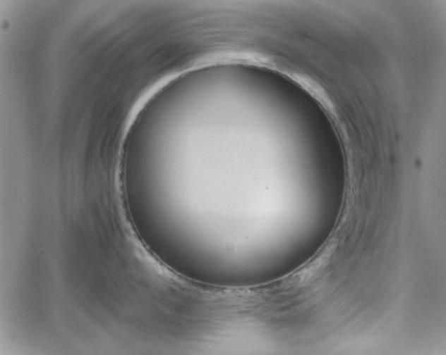 X0000062170912200512091048
