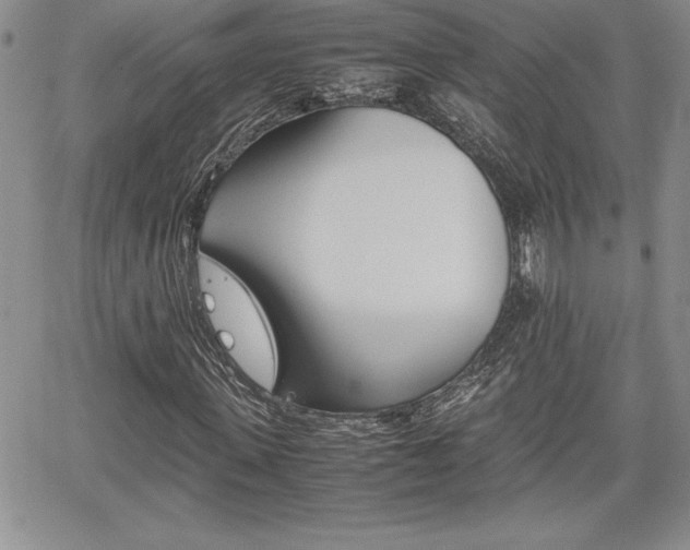 X0000062170915200512091047