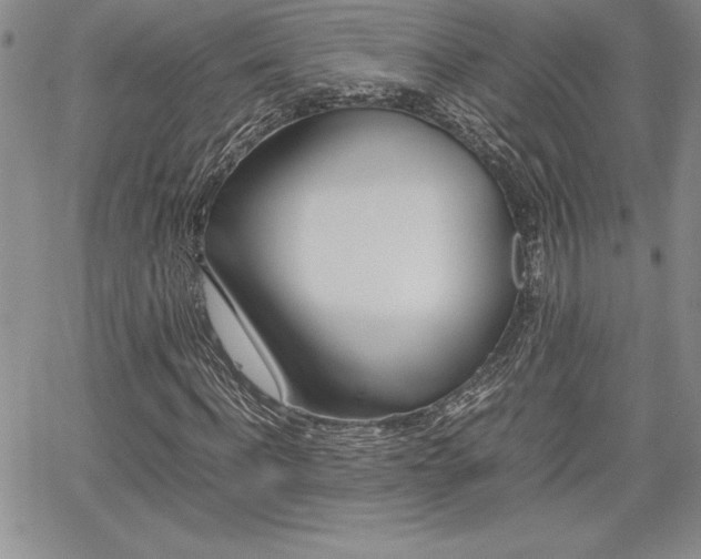 X0000062170916200512091047