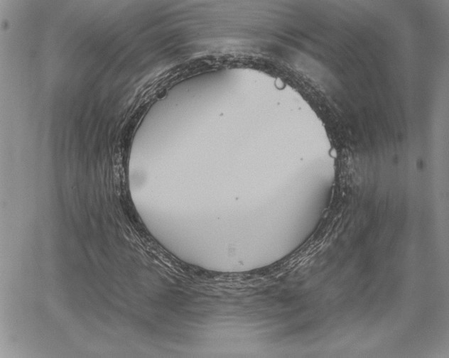 X0000062170918200512091047