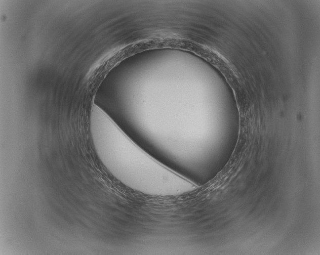 X0000062170919200512091047