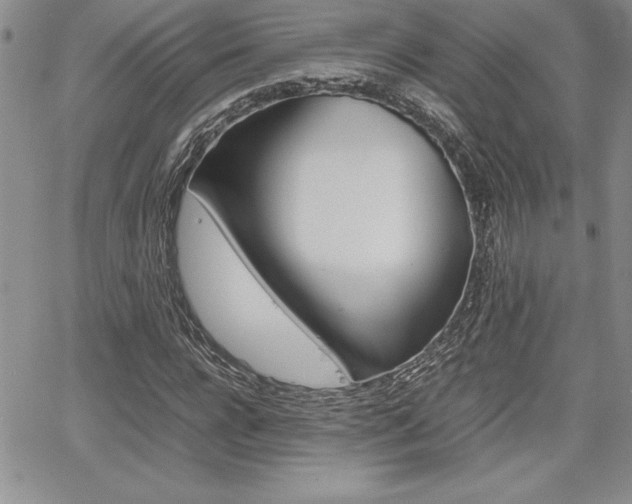 X0000062170920200512091047