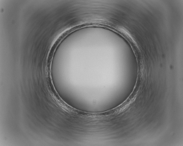 X0000062170924200512091047
