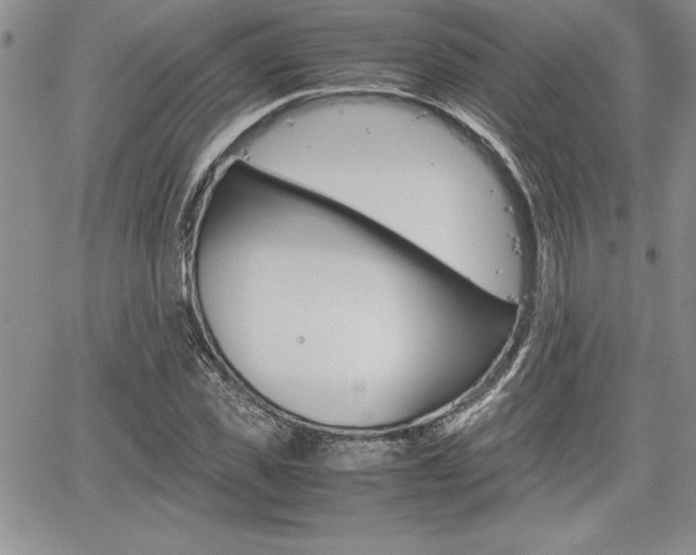 X0000062170925200512091047